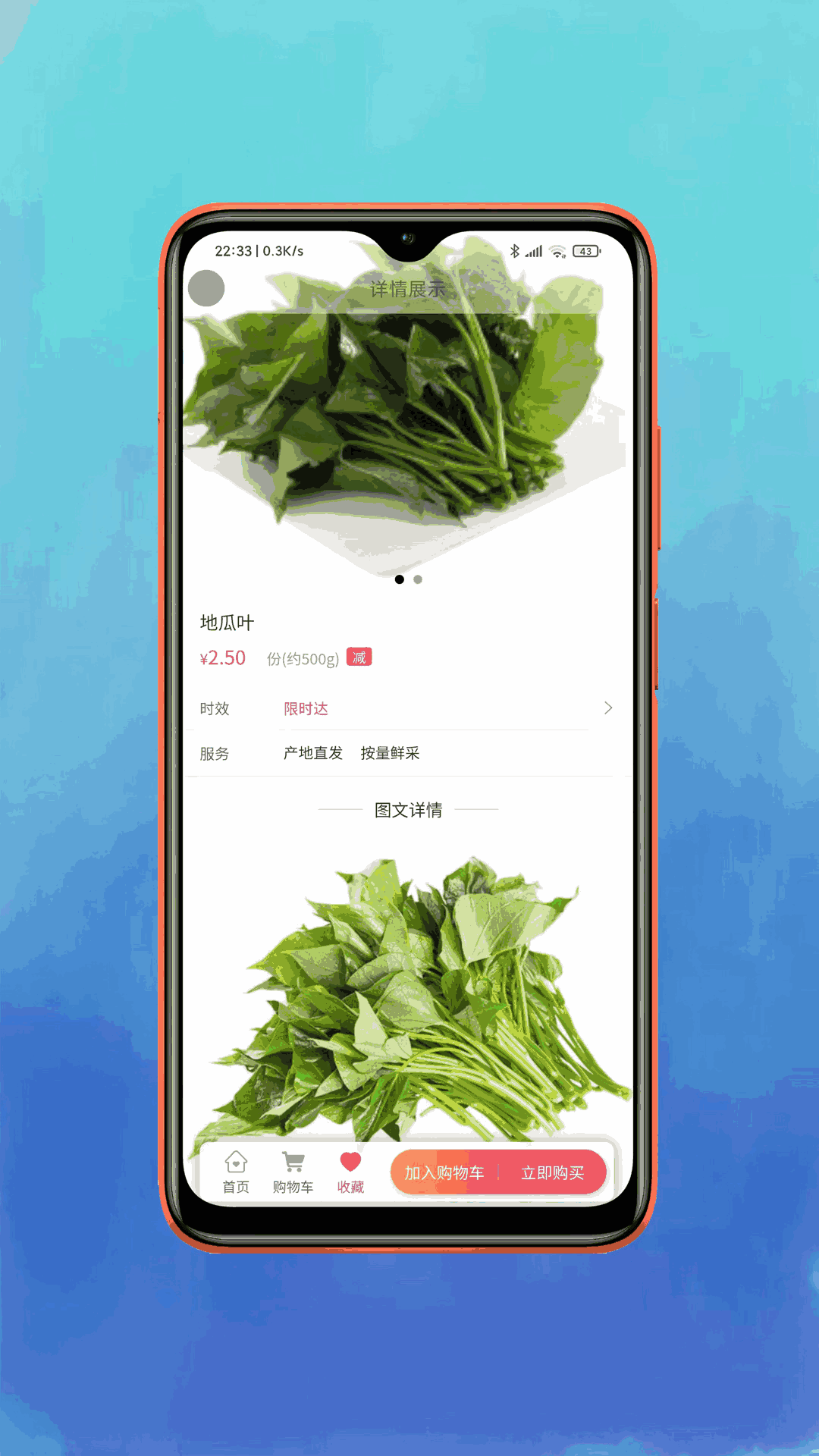 鲜动员