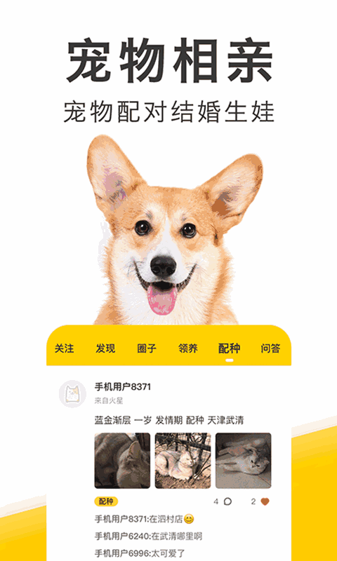 有只宠物